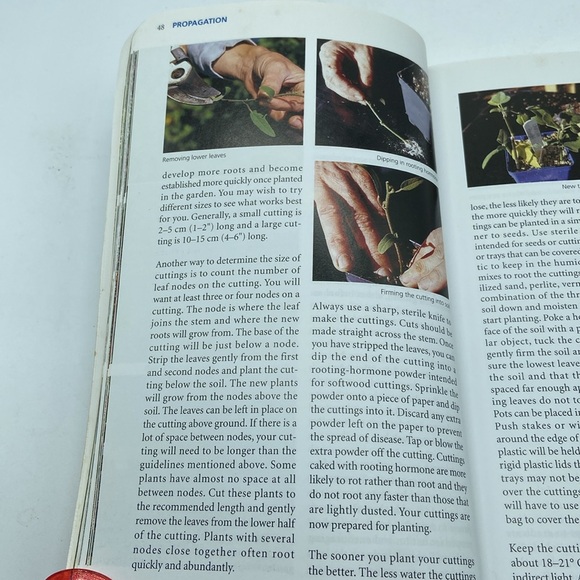 Perennials for Ontario - by Alison Beck & Kathy Renwald - Picture 6 of 7